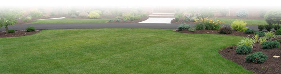 FOOTER-LANDSCAPE