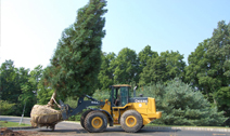INSTALL-TREE