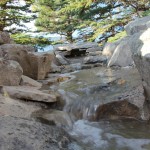 Natural looking water feature and waterfall in Lethbridge Alberta