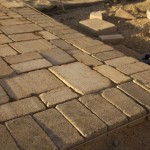 PAVE11