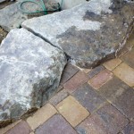 PAVE6