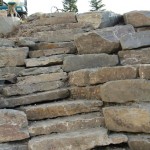 WALL1